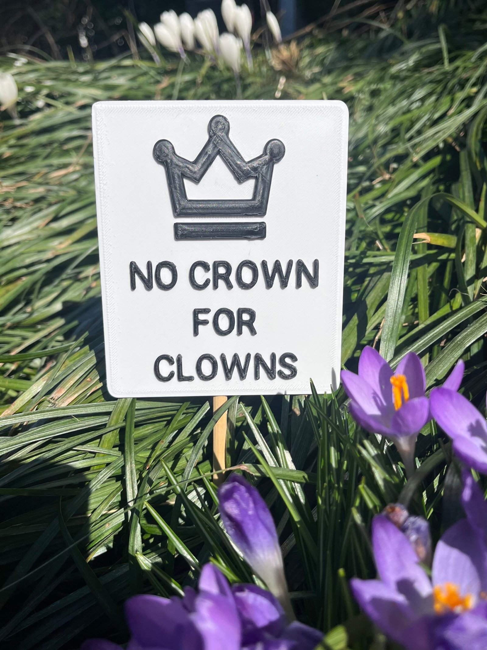 No Crown for Clowns Protest Sign (Magnet or Mini Sign) - Image 7